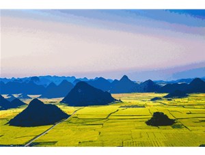 菜籽的收获季节到了! 遍地黄花，清香飘田野~