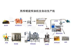 开油坊、建油厂如何选设备？这套全套食用油加工生产线不要错过！